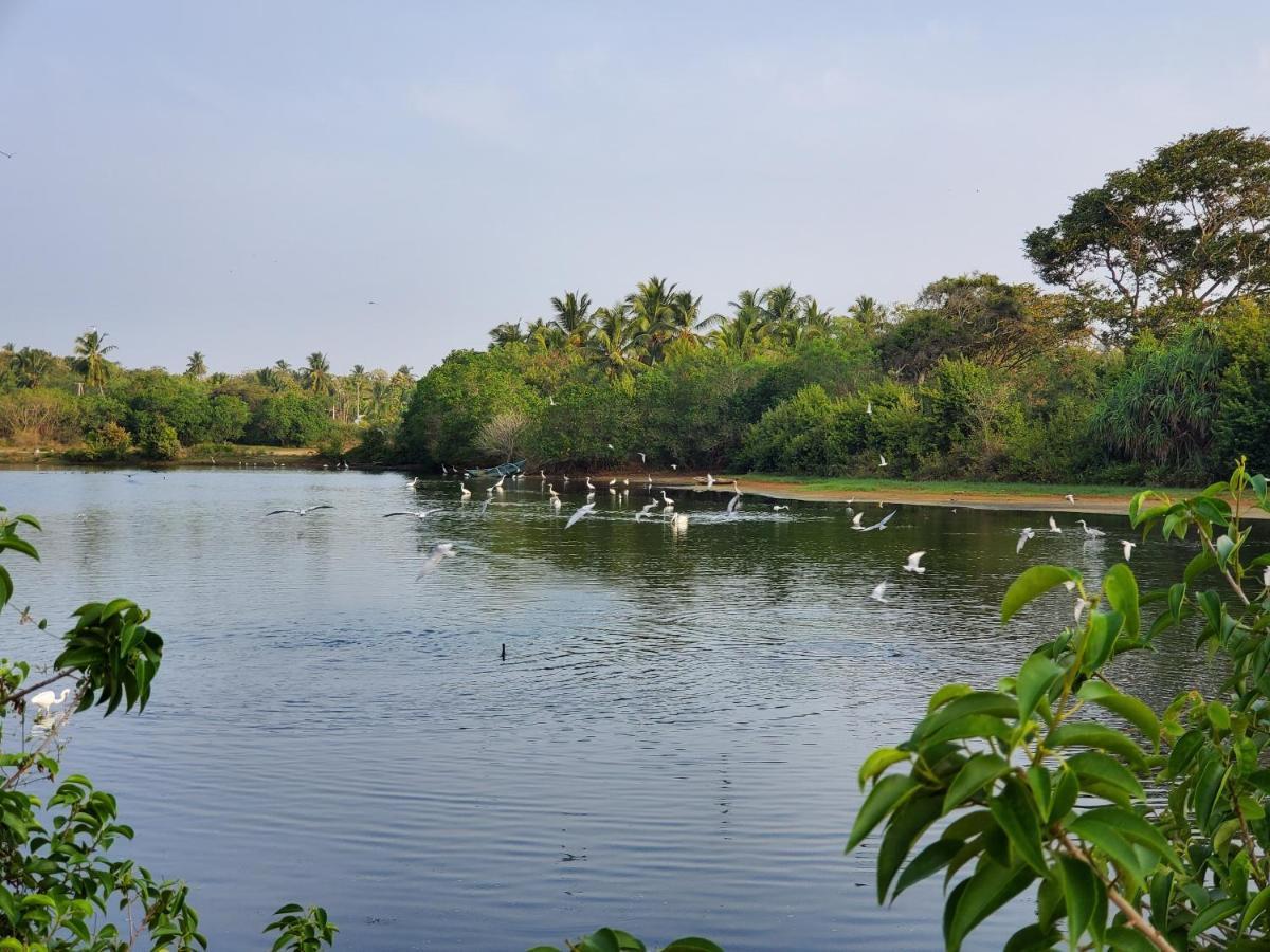 فيلا Ceu Ceylon تانجالي المظهر الخارجي الصورة
